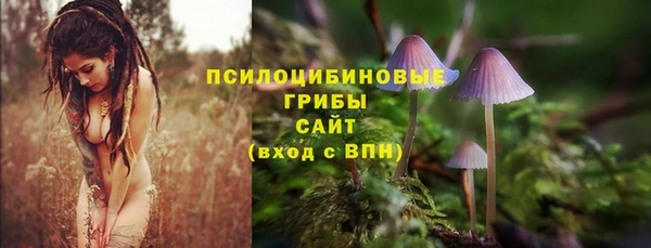 не бодяженный Дмитриев