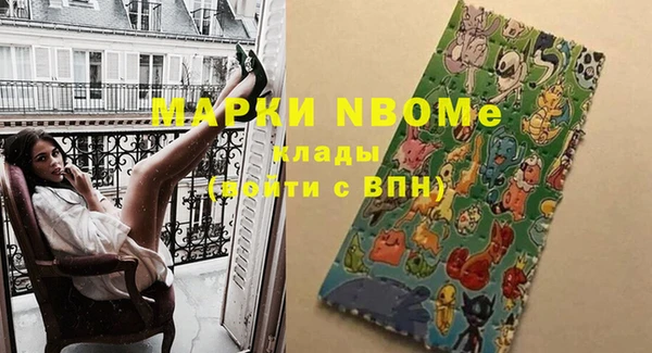 стаф Дмитровск