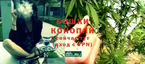 стаф Дмитровск
