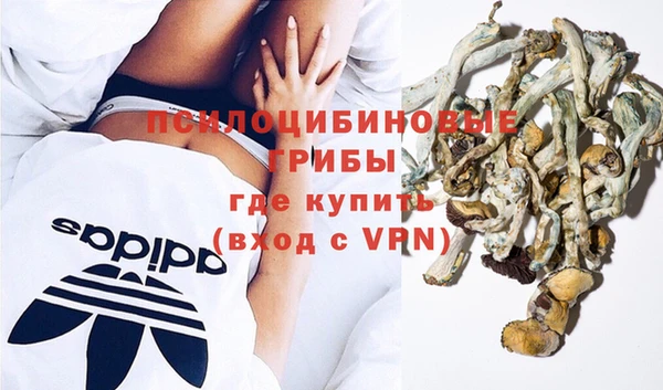 не бодяженный Дмитриев