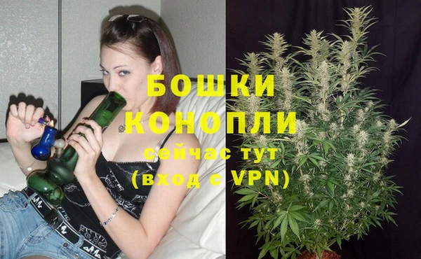 не бодяженный Дмитриев