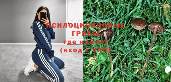 не бодяженный Дмитриев