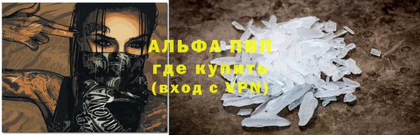 стаф Дмитровск