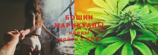 стаф Дмитровск