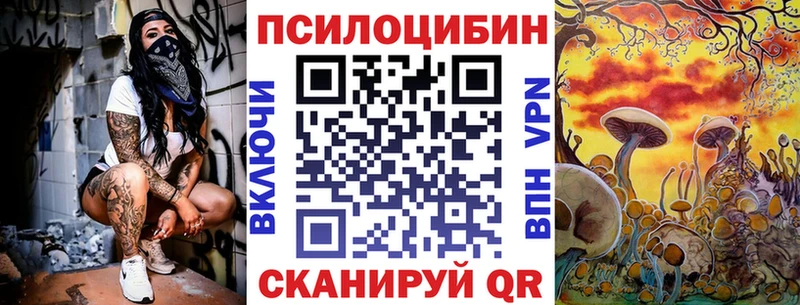 Купить  Талица  Галлюциногенные грибы мицелий 