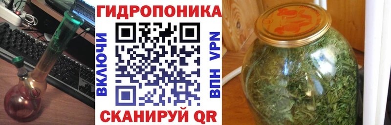 Конопля Bruce Banner  Купить закладки  Талица 